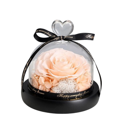 Rose in Glass