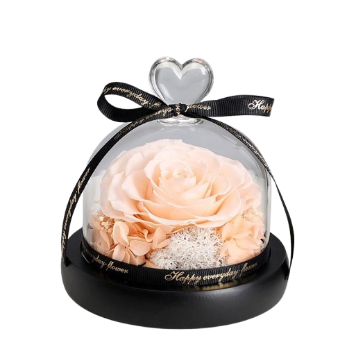 Rose in Glass